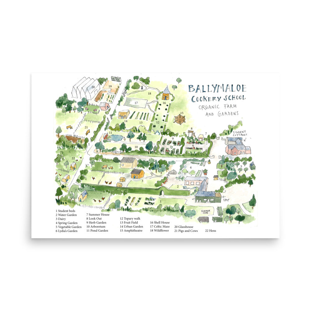 Ballymaloe Cookery School Map 24x36" Poster | LHJ