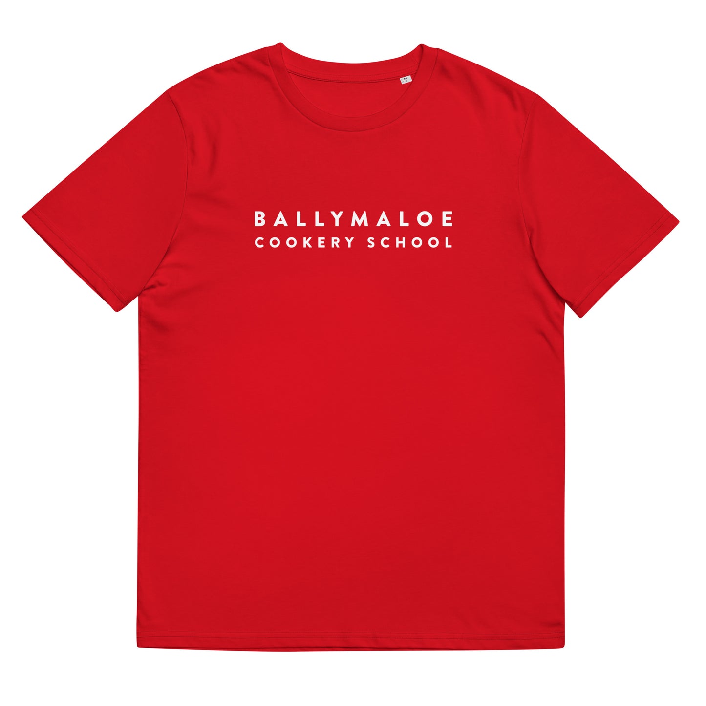 Unisex Organic Cotton T-shirt - Large BCS